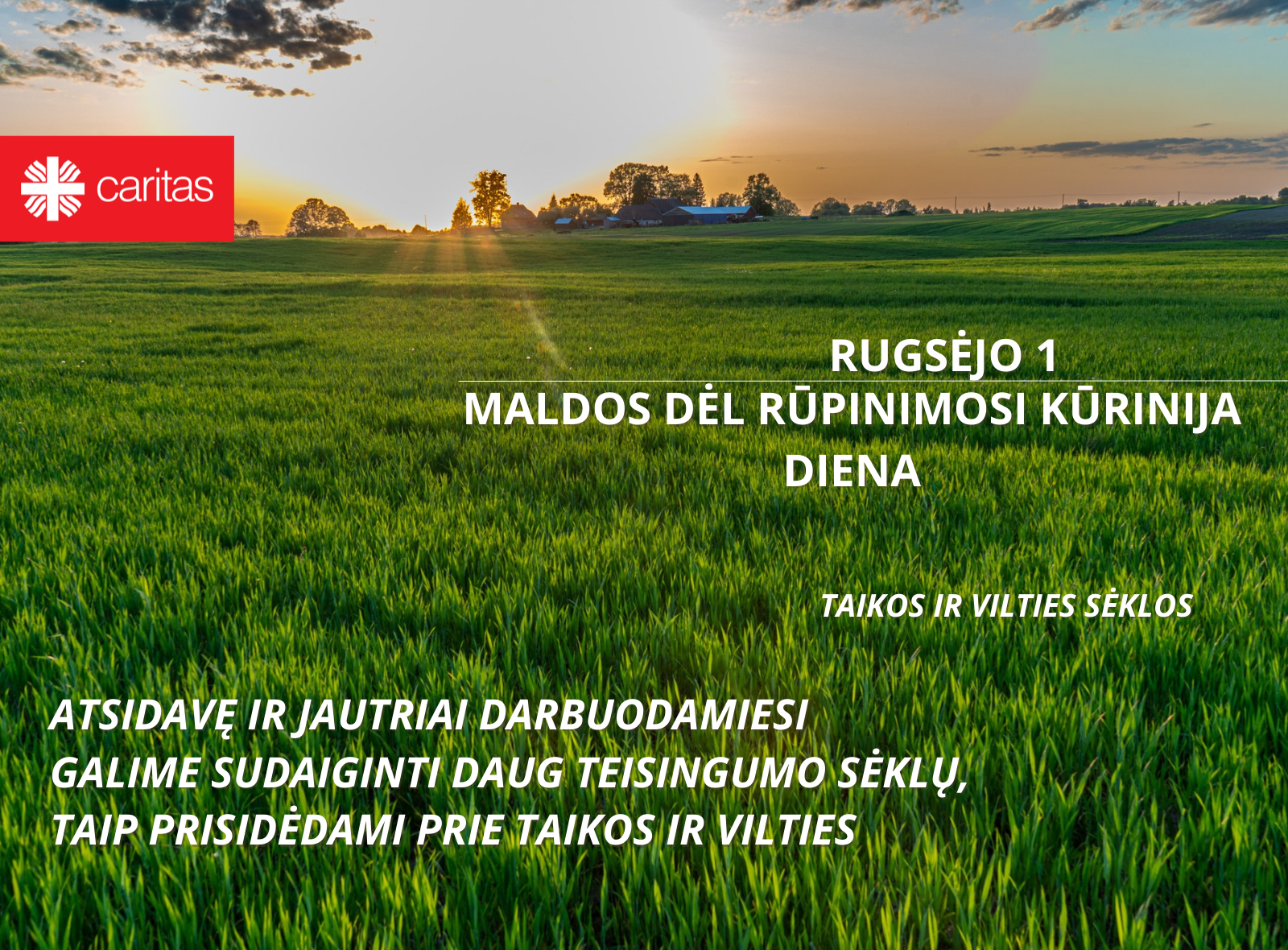 Pasitinkant Maldos dėl rūpinimosi kūrinija dieną – taikos ir vilties sėklos